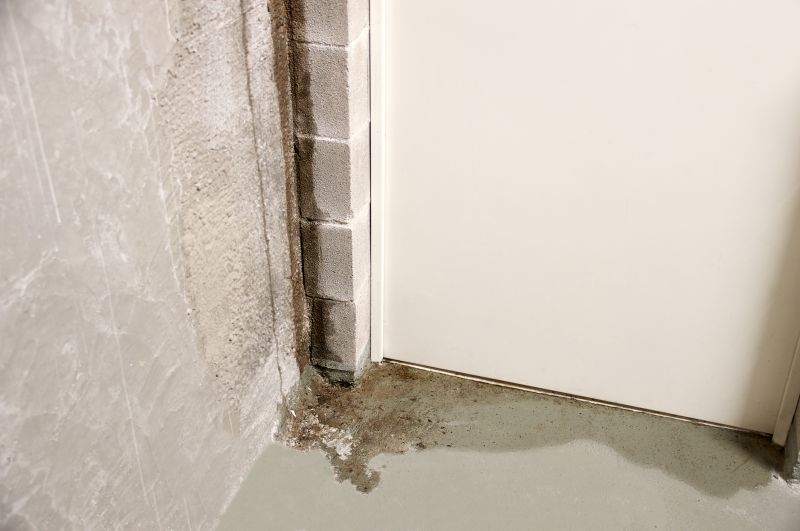 Foundation Leak Repair in Montgomery, AL